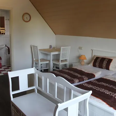 Krone Guest house 2*
